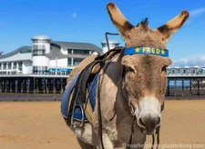 Weston Super Mare - Market Place - Glastonbury