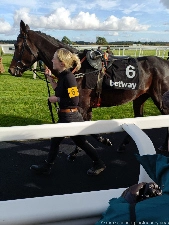 Wincanton race course - Market Place - Glastonbury